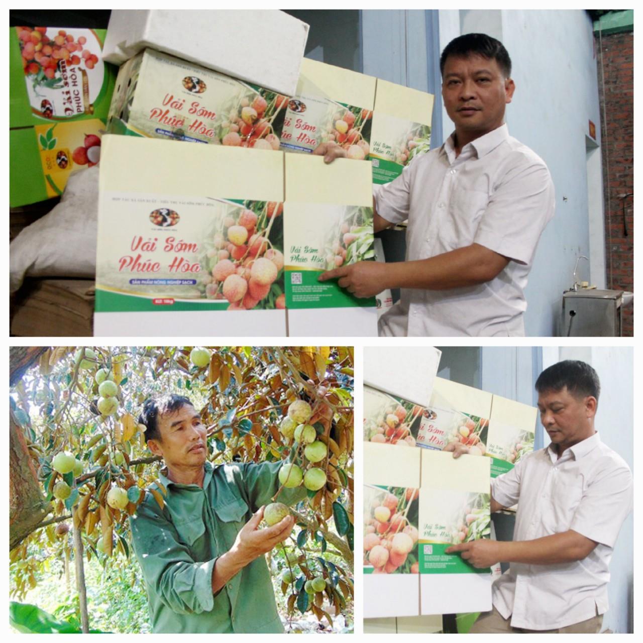 Huyện Tân Yên: Kết nối hợptác xã, tạo đà tiêu thụ nông sản