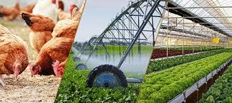 Ngành nông nghiệp được dự báo là một trong những ngành hưởng lợi lớn nhất từ Hiệp định EVFTA