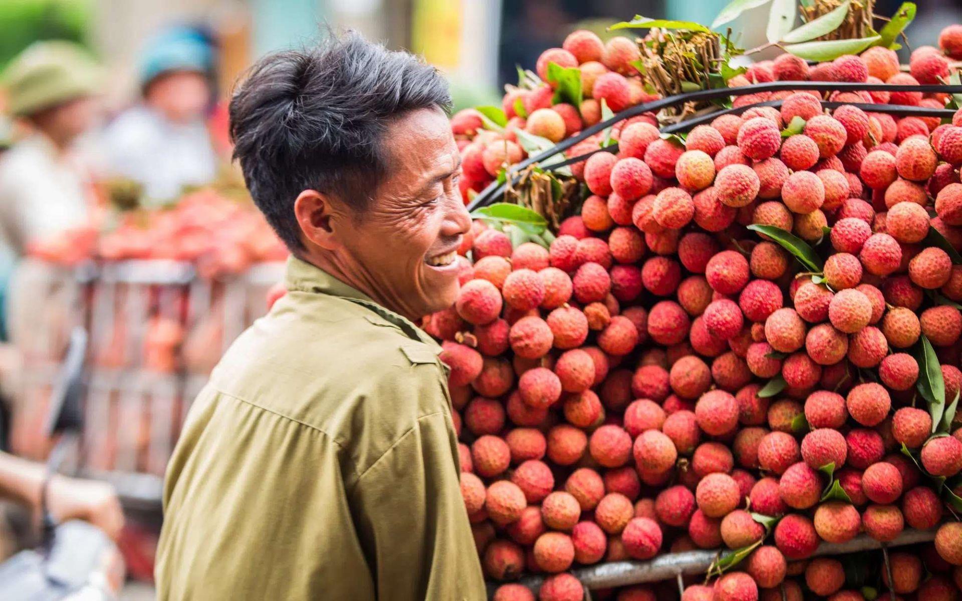 Bắc Giang: Sở hữu trí tuệ thúc đẩy mở cửa thị trường cho nông sản chủ lực