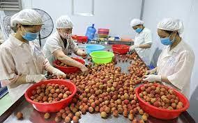 Nông sản Việt nối tiếp nhau vào thị trường khó tính