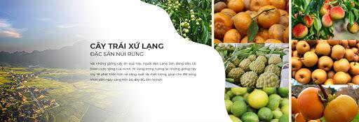 Đề nghị phối hợp, hỗ trợ xúc tiến thương mại, kết nối tiêu thụ sản phẩm nông sản của tỉnh Lạng Sơn