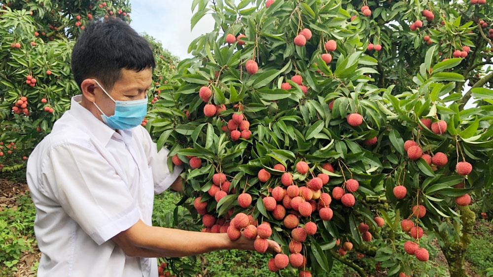 Chỉ dẫn địa lý: Công cụ hữu hiệu nâng cao giá trị nông sản Việt