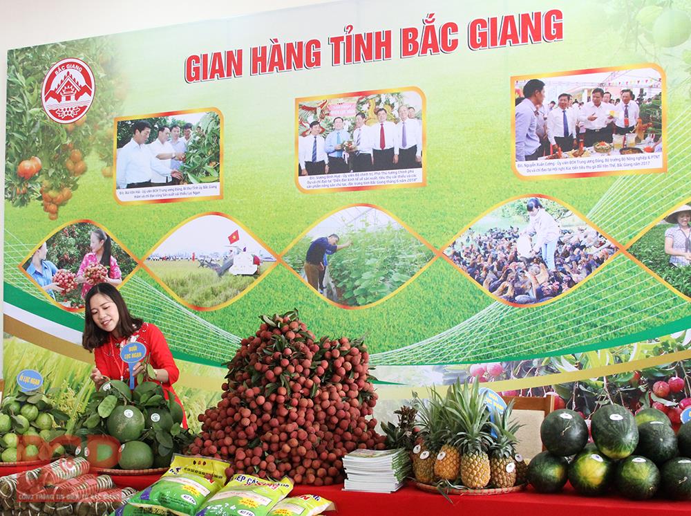 Bắc Giang tăng cường huy động người Việt Nam ở nước ngoài giới thiệu, tiêu thụ sản phẩm và phát triển kênh phân phối hàng Việt Nam