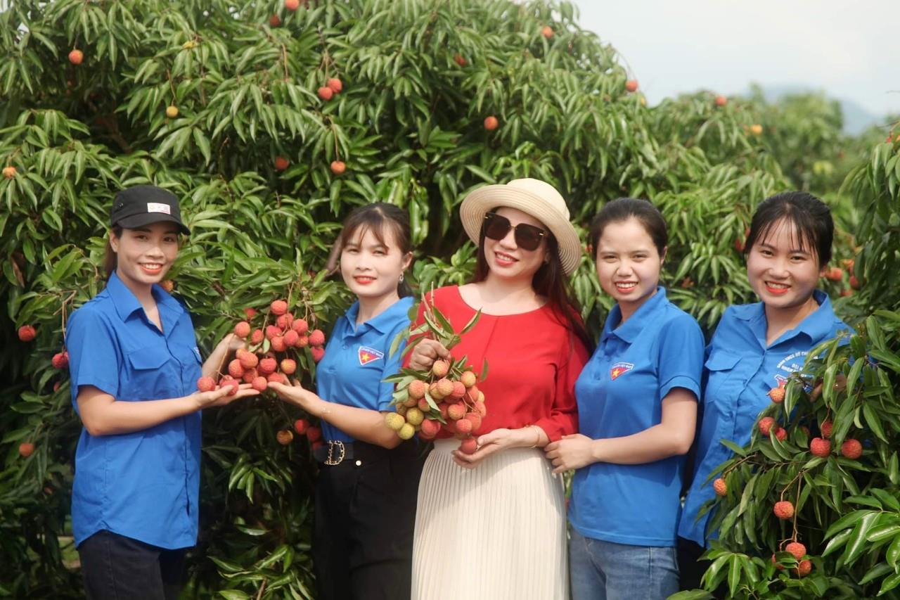 Bắc Giang được cấp hai mã vùng trồng vải thiều xuất khẩu sang Thái Lan