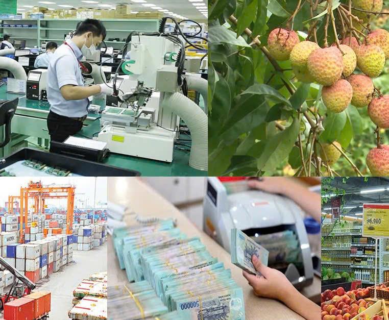 Tỉnh Bắc Giang triển khai đồng bộ các giải pháp phục vụ sản xuất và xúc tiến tiêu thụ vải thiều năm 2025