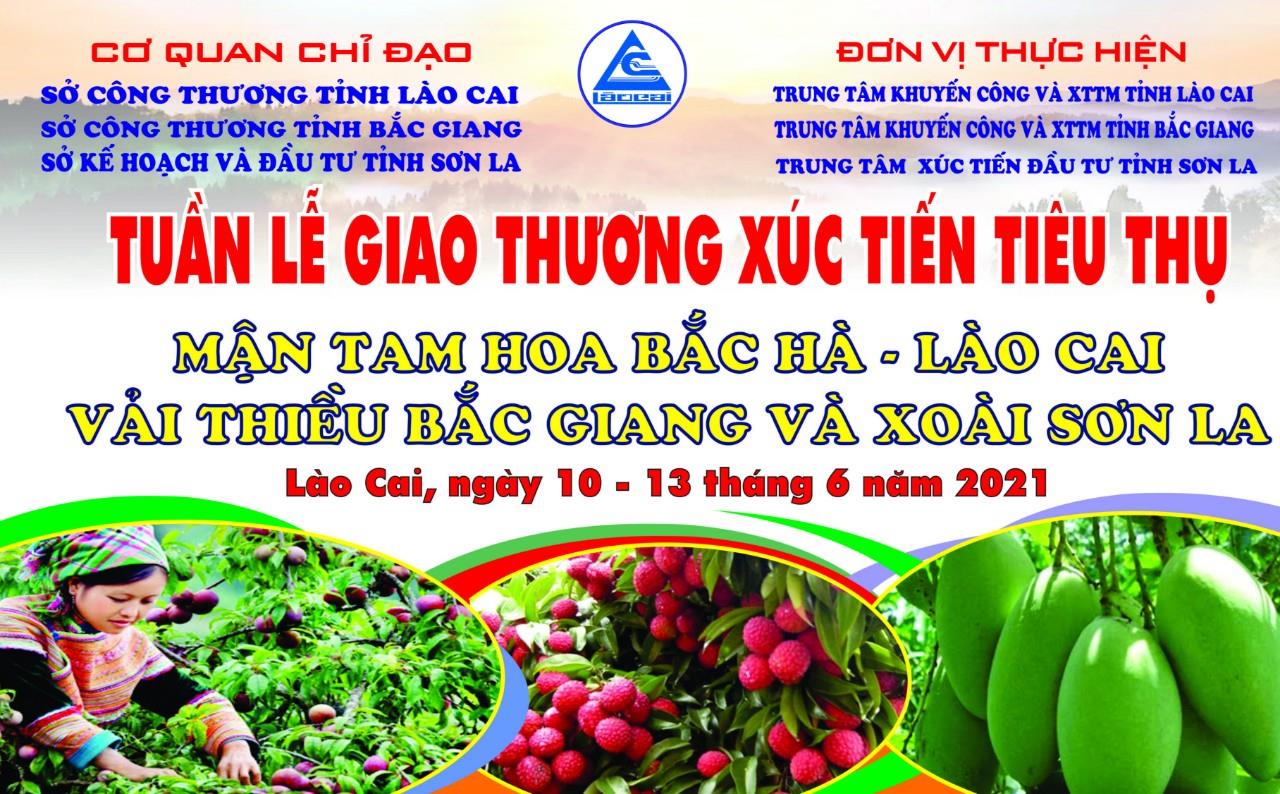 Lào Cai tổ chức “Tuần lễ giao thương xúc tiến tiêu thụ Mận Tam Hoa Bắc Hà - Lào Cai Vải thiều Bắc Giang và Xoài Sơn La”