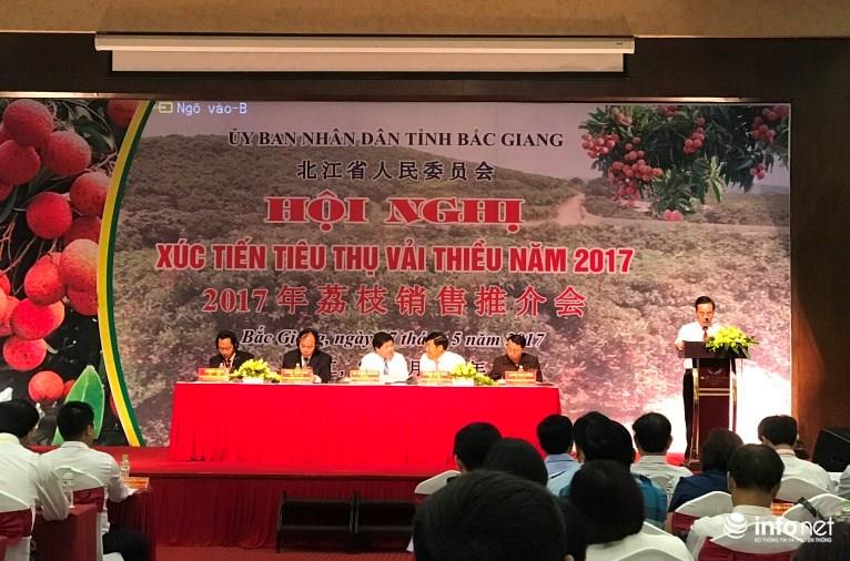Bắc Giang- Hội nghị Xúc tiến tiêu thụ vải thiều năm 2017
