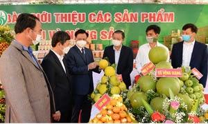 Triển khai hỗ trợ tiêu thụ sản phẩm của tỉnh Bắc Giang và tỉnh Nghệ An