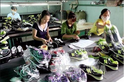 Doanh nghiệp Mexico có nhu cầu nhập khẩu giày thể thao