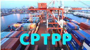 Tận dụng cơ hội từ hiệp định CPTT để thúc đẩy xuất khẩu