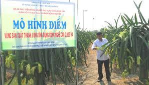 Bắc Giang: Hỗ trợ mô hình sản xuất nông nghiệp ứng dụng công nghệ cao trên địa bàn tỉnh năm 2020