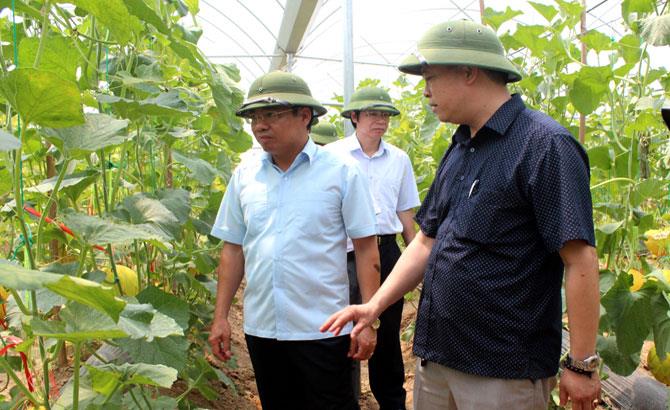 Phó Chủ tịch UBND tỉnh Dương Văn Thái: Đẩy mạnh ứng dụng công nghệ cao, hình thành sản xuất theo chuỗi liên kết