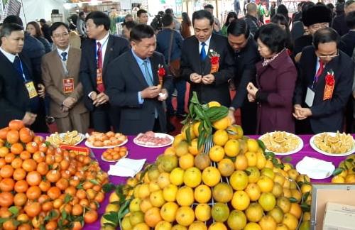 Hội chợ cam, bưởi và các sản phẩm đặc trưng huyện Lục Ngạn năm 2019 được tổ chức từ 29-11 đến 1-12-2019
