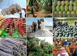 Bộ Nông nghiệp và Phát triển nông thôn thông báo tạm ngừng vận chuyển nông sản lên Lạng Sơn