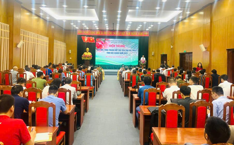 Hội nghị Kết nối, thỏa thuận hợp tác tiêu thụ vải thiều năm 2025