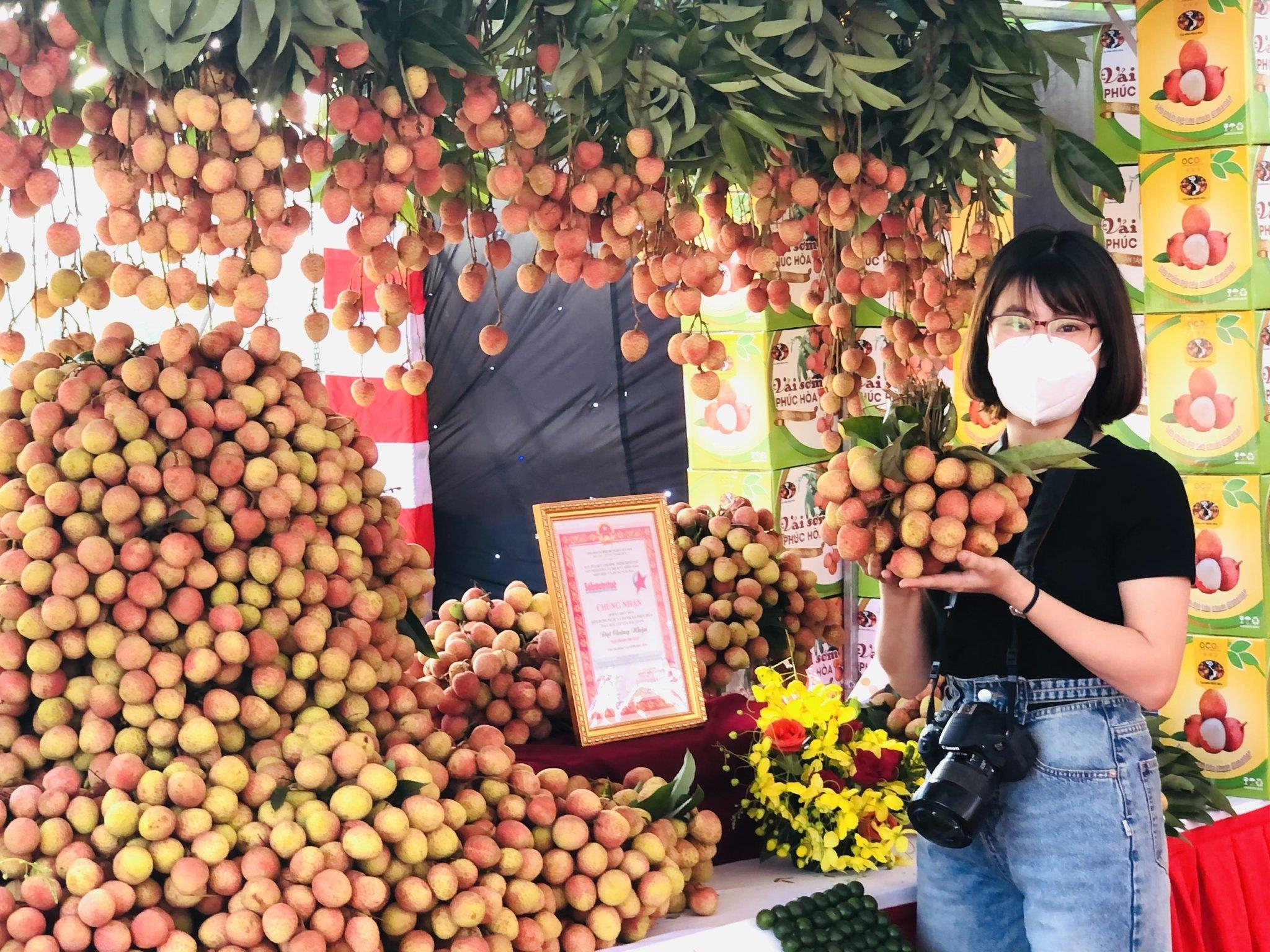 Bắc Giang: Vải sớm Tân Yên bắt đầu vào thu hoạch tập trung có giá 30-40 nghìn đồng/kg