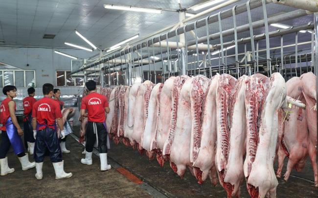Giá lợn hơi tăng nhanh, khả năng lên tới hơn 65.000 đồng/kg