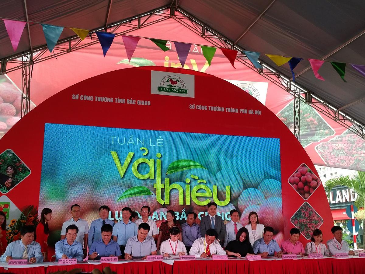 Khai mạc Tuần lễ vải thiều Lục Ngạn - Bắc Giang tại thành phố Hà Nội